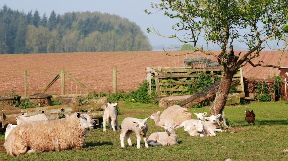 Huntlands Farm Bed & Breakfast Bromyard Zewnętrze zdjęcie